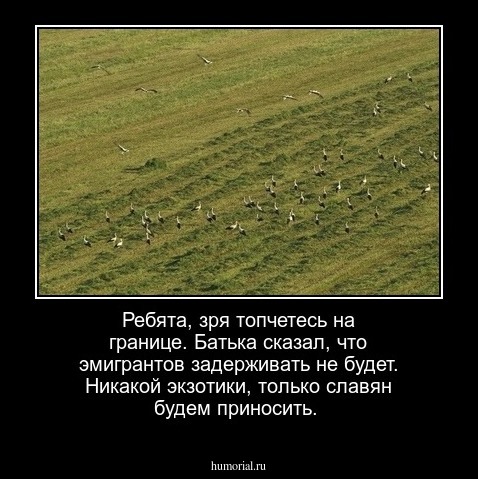 Ребята, зря топчетесь на границе. Батька сказал, что эмигрантов задерживать не будет. Никакой экзотики, только славян будем приносить.