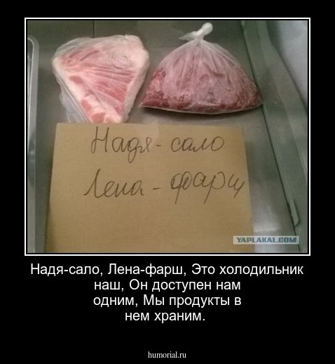 Надя-сало,
Лена-фарш,
Это холодильник наш,
Он доступен нам одним,
Мы продукты в нем храним.