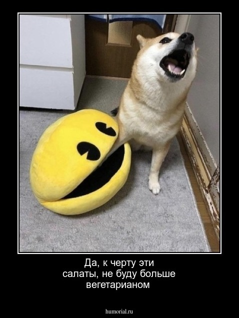 Да, к черту эти салаты, не буду больше вегетарианом 