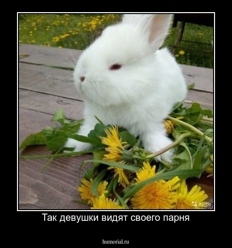 Так девушки видят своего парня