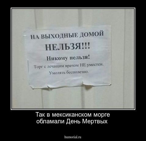 Так в мексиканском морге обламали День Мертвых 