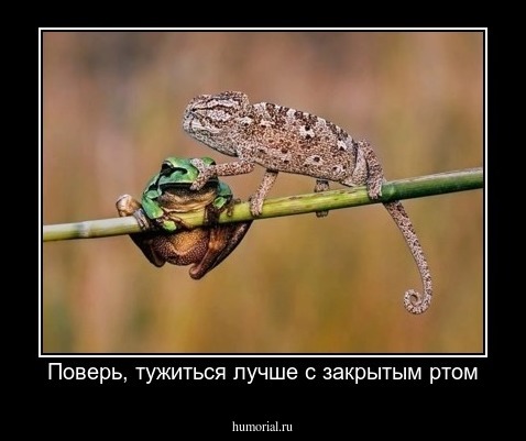 Поверь, тужиться лучше с закрытым ртом
