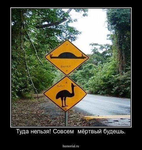 Туда нельзя! Совсем  мёртвый будешь.