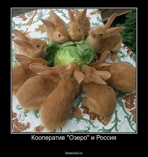 Кооператив "Озеро" и Россия