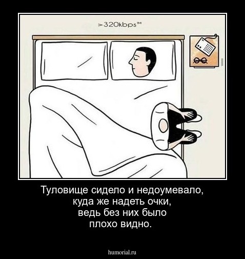 Туловище сидело и недоумевало, куда же надеть очки, ведь без них было плохо видно.