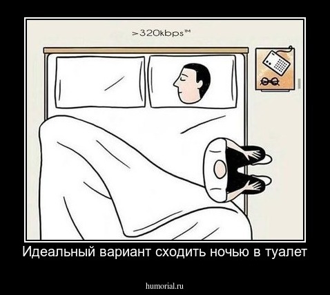 Идеальный вариант сходить ночью в туалет