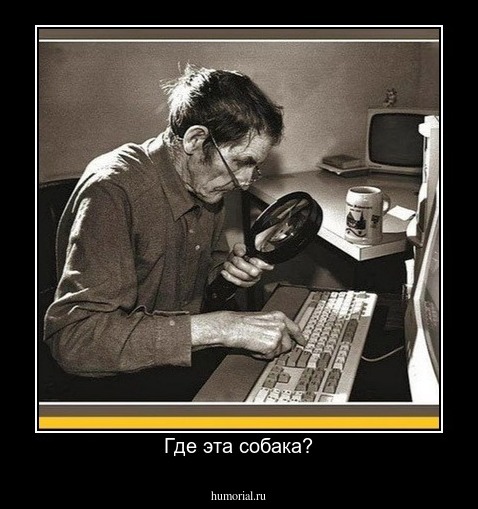 Где эта собака?