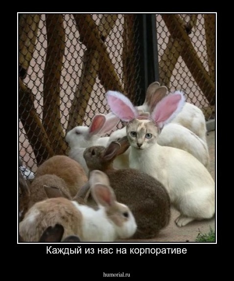 Каждый из нас на корпоративе