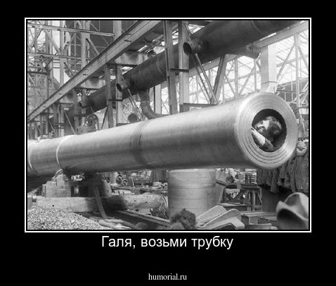 Галя, возьми трубку