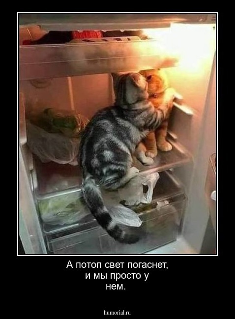 А потоп свет погаснет, и мы просто у нем. 