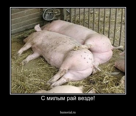 С милым рай везде!