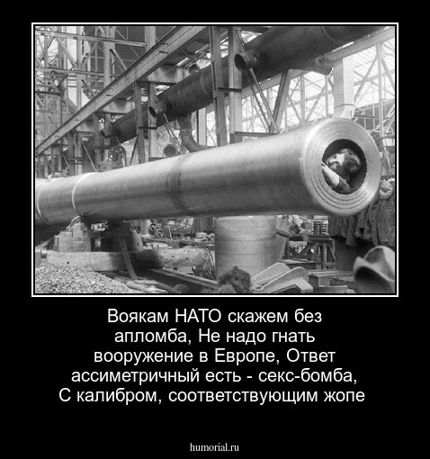 Воякам НАТО скажем без апломба,
Не надо гнать вооружение в Европе,
Ответ ассиметричный есть - секс-бомба,
С калибром, соответствующим жопе