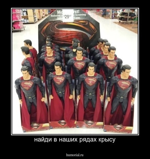 найди в наших рядах крысу