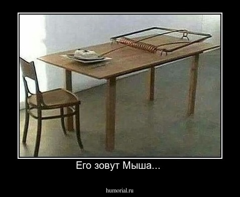 Его зовут Мыша... 