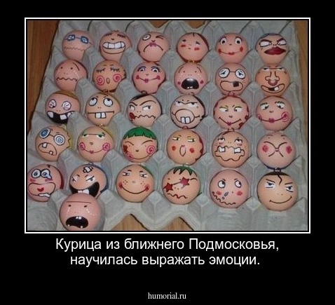Курица из ближнего Подмосковья, научилась выражать эмоции. 