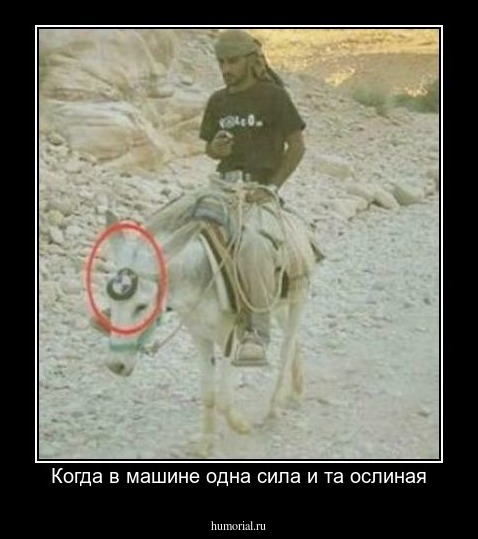 Когда в машине одна сила и та ослиная