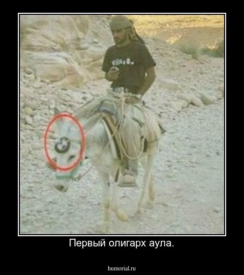 Первый олигарх аула.