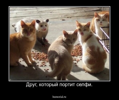 Друг, который портит селфи.