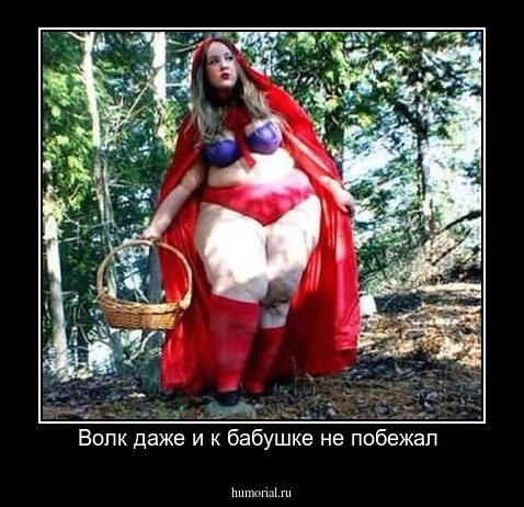 Волк даже и к бабушке не побежал 