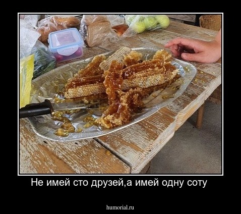 Не имей сто друзей,а имей одну соту 