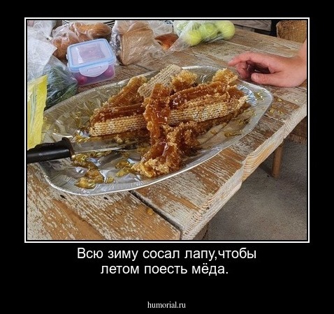 Всю зиму сосал лапу,чтобы летом поесть мёда.