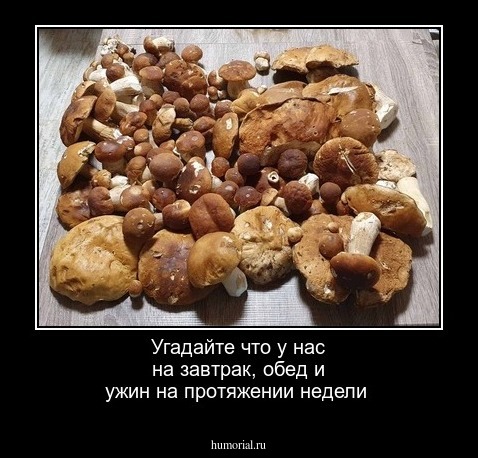 Угадайте что у нас на завтрак, обед и ужин на протяжении недели
