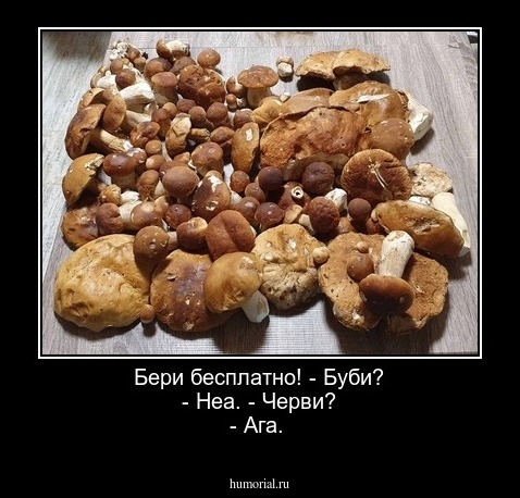 Бери бесплатно! - Буби? - Неа. - Черви? - Ага.  
