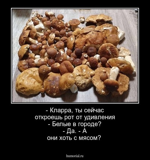 - Кларра, ты сейчас откроешь рот от удивления
- Белые в городе?
- Да.
- А они хоть с мясом?

