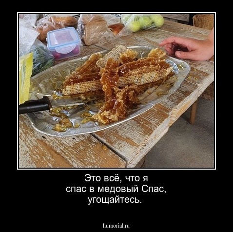 Это всё, что я спас в медовый Спас, угощайтесь.