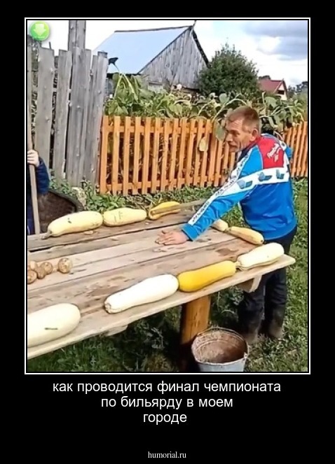 как проводится финал чемпионата по бильярду в моем городе