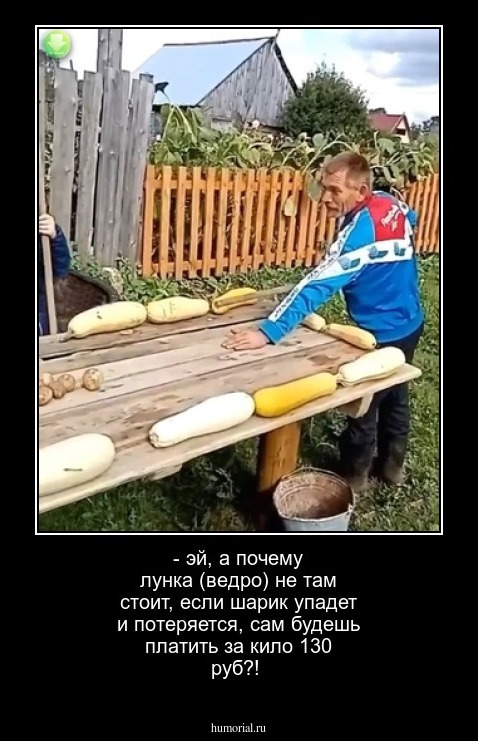 - эй, а почему лунка (ведро) не там стоит, если шарик упадет и потеряется, сам будешь платить за кило 130 руб?!