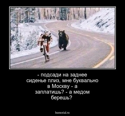 - подсади на заднее сиденье плиз, мне буквально в Москву - а заплатишь? - а медом берешь?