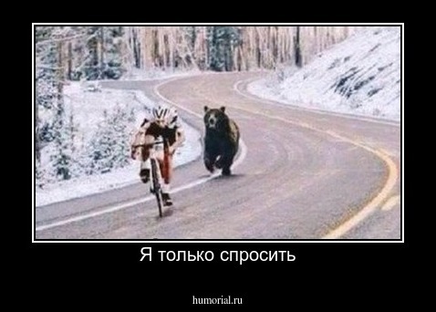 Я только спросить
