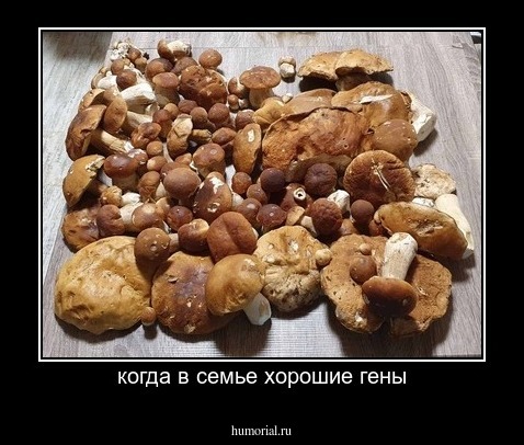 когда в семье хорошие гены