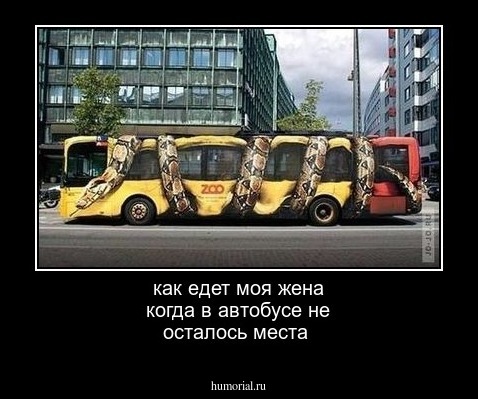 как едет моя жена когда в автобусе не осталось места
