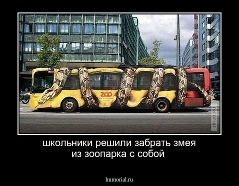 школьники решили забрать змея из зоопарка с собой