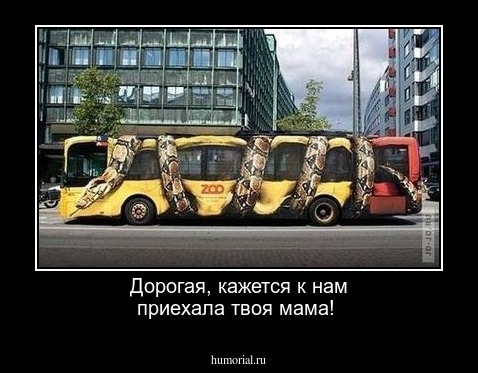 Дорогая, кажется к нам приехала твоя мама!