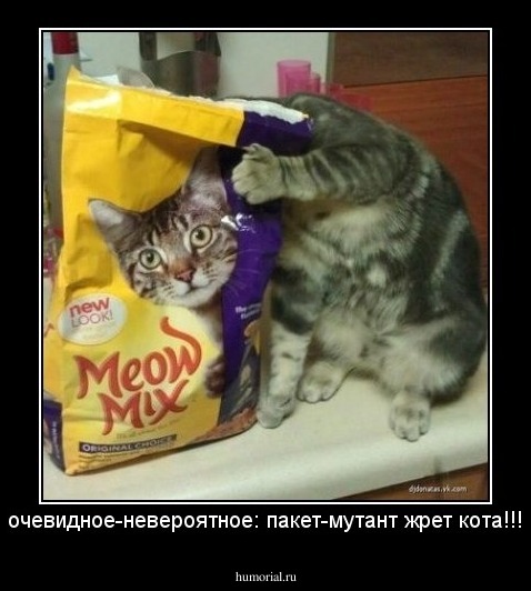 очевидное-невероятное: пакет-мутант жрет кота!!!