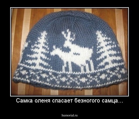 Самка оленя спасает безногого самца...