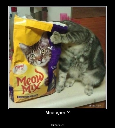 Мне идет ?