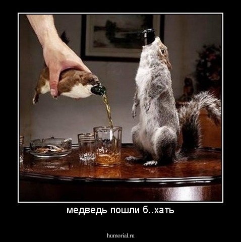 медведь пошли б..хать