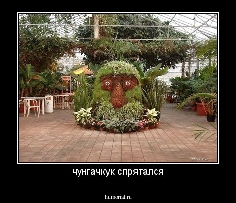 чунгачкук спрятался