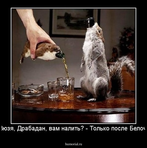 - Зюзя, Драбадан, вам налить? - Только после Белочки