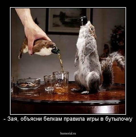 - Зая, объясни белкам правила игры в бутылочку