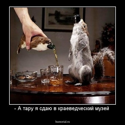 - А тару я сдаю в краеведческий музей 