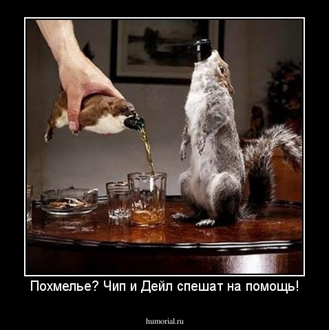 Похмелье? Чип и Дейл спешат на помощь!