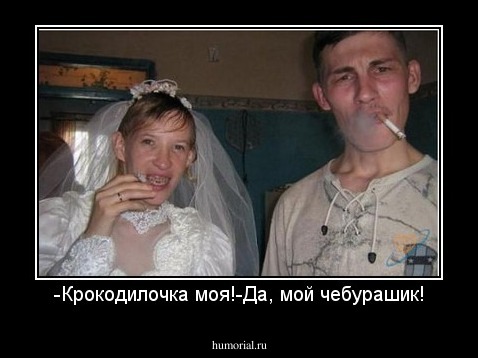 -Крокодилочка моя!-Да, мой чебурашик!