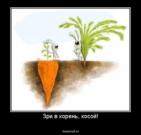 Зри в корень, косой!