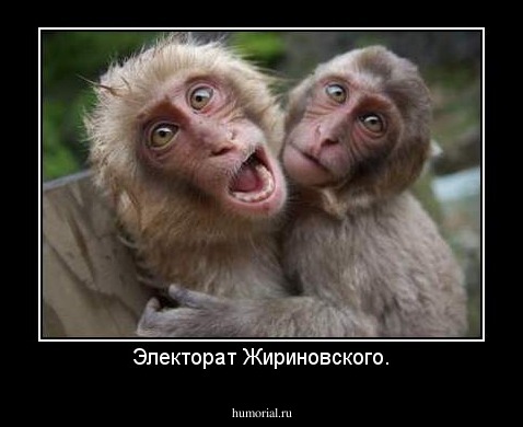 Электорат Жириновского.