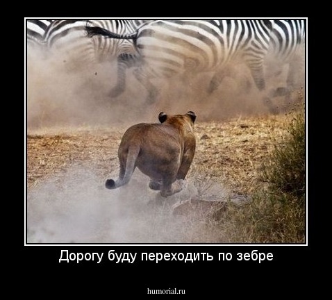 Дорогу буду переходить по зебре